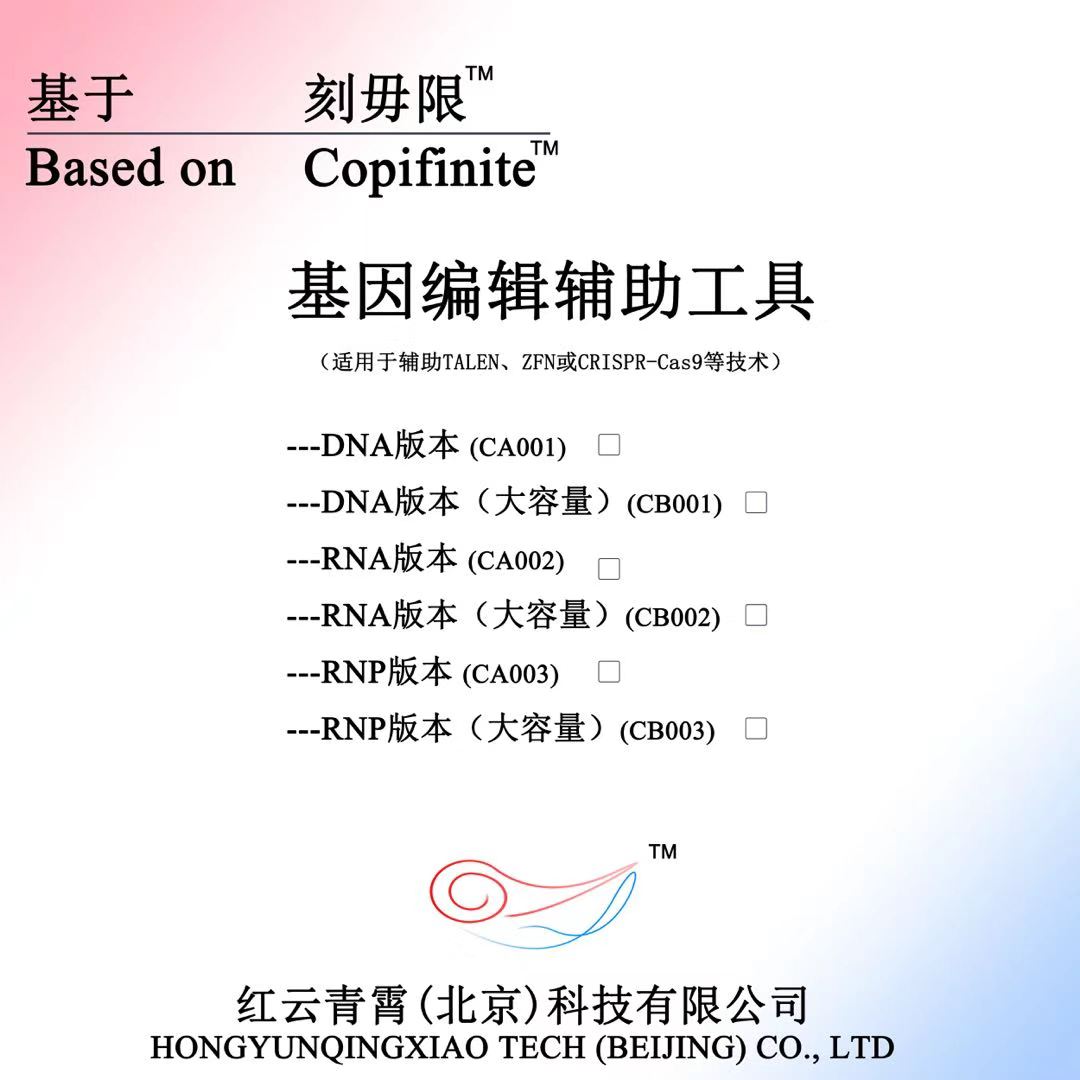 hongyun_20220314160648